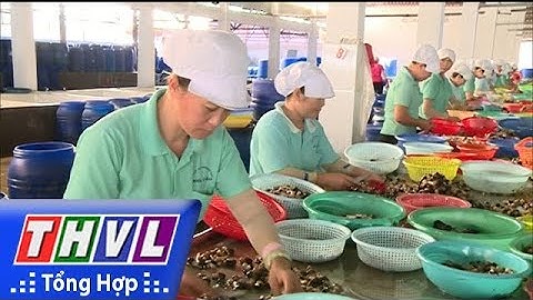 THVL | Vĩnh Long thu hút nhiều dự án đầu tư thứ cấp vào khu – tuyến công nghiệp