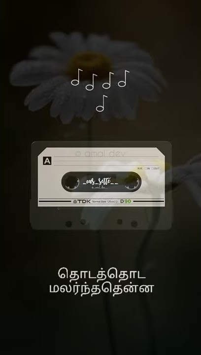 Thoda thoda malardhathenna | Indira | A R Rahman | SPB | KS Chithra | fullscreen status