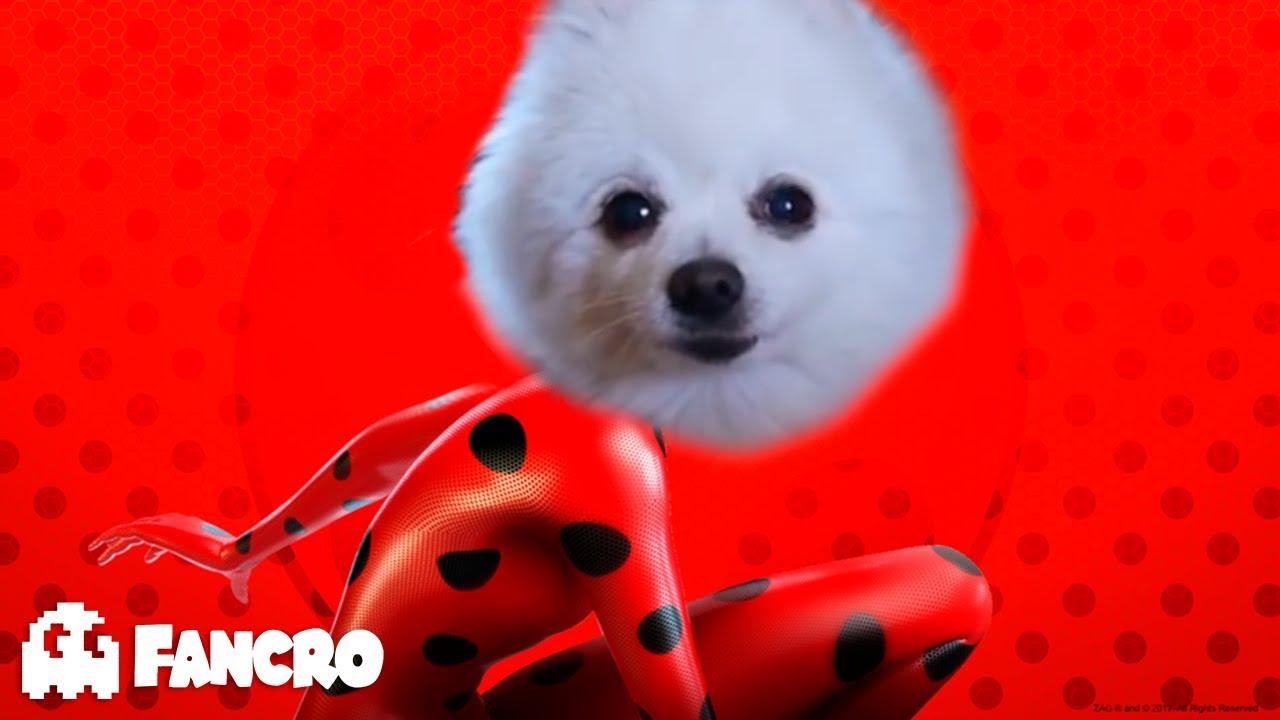 Miraculous Ladybug - Cover Gabe the dog
