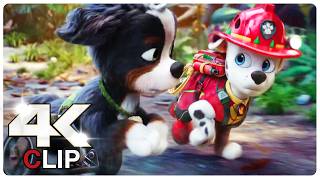 Rex Is Friends With T Rex | PAW PATROL 3 THE DINO MOVIE (NEW 2026) MOVIE CLIP 4K