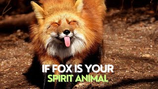 If Fox Is Your Spirit Animal | Modern Animism