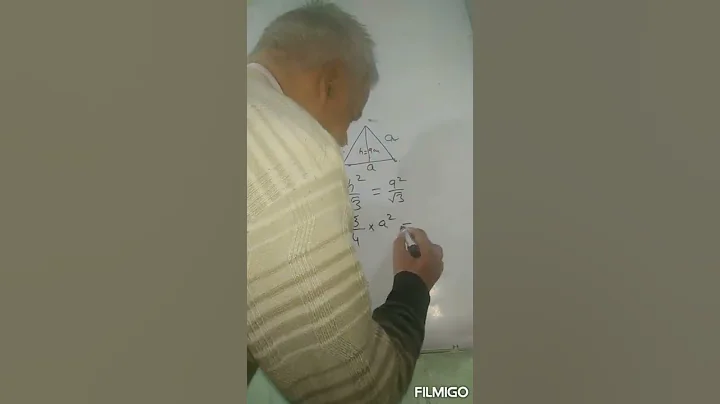 Find the sides of equilateral triangle🔺 if height is given