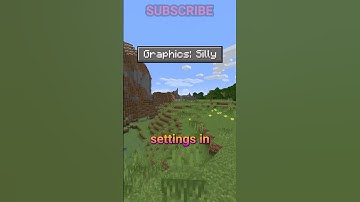 the DUMBEST settings in minecraft