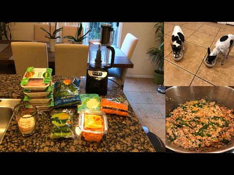 affordable-homemade-healthy-dog-food