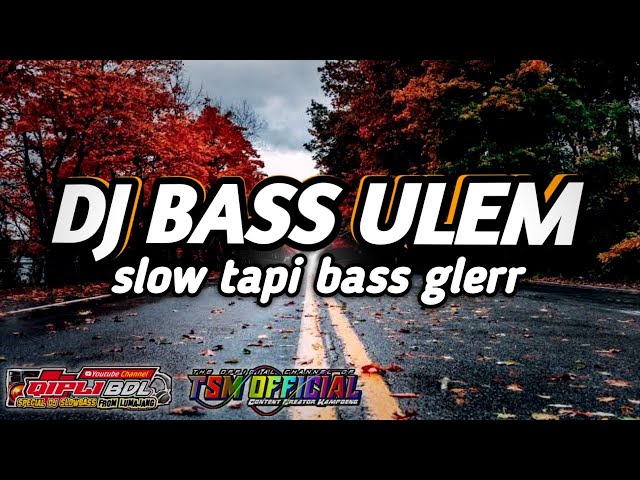 DJ HORREG|Dj pengantin baru remix slow full bass glerr class=