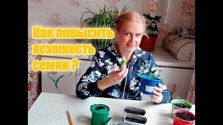 Как повысить всхожесть семян