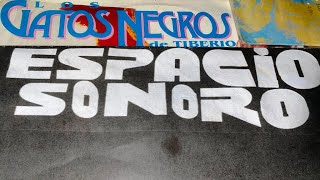 🔥💣Los Gatos Negros - Margarita 🔥Salsa Mexicana🔥Guaguanco Mexicano💣Montuno🔥🧨 #SALSAENVINIL