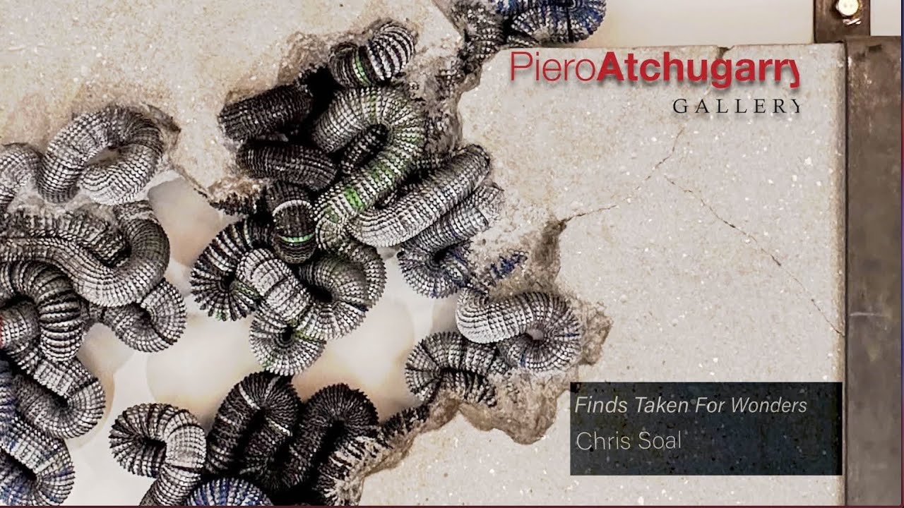 Finds taken for wonders Chris Soal Miami Artchugerry gallery
