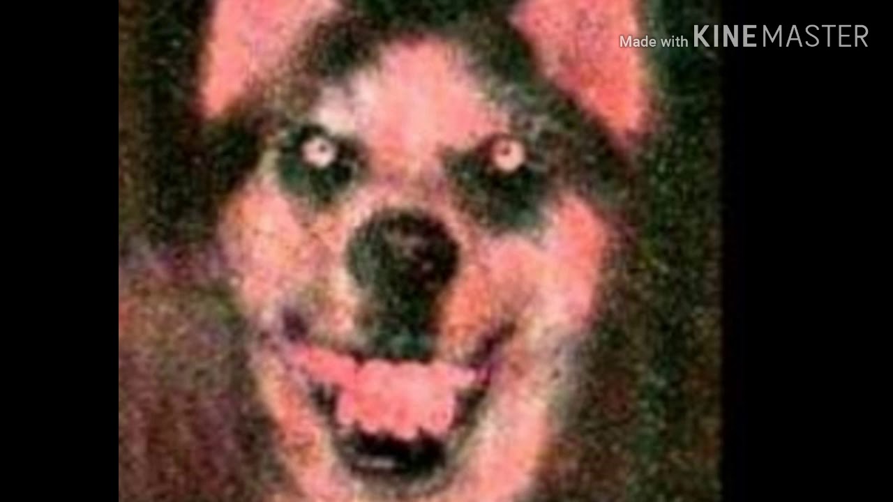 Creepypasta SMILE DOG - YouTube