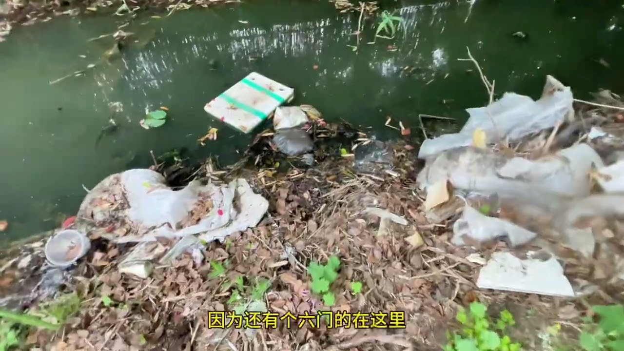 #真实户外  #今天的收获  #野生黄鳝   舍与得，舍得！ 舒服了！