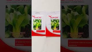 BENIH SAYUR PAKCOY GARUDA SEED #shortsvideo #sayuran #sayurpakcoy