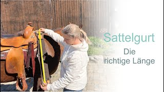 Sattelgurt Westernsattel, die richtige Länge