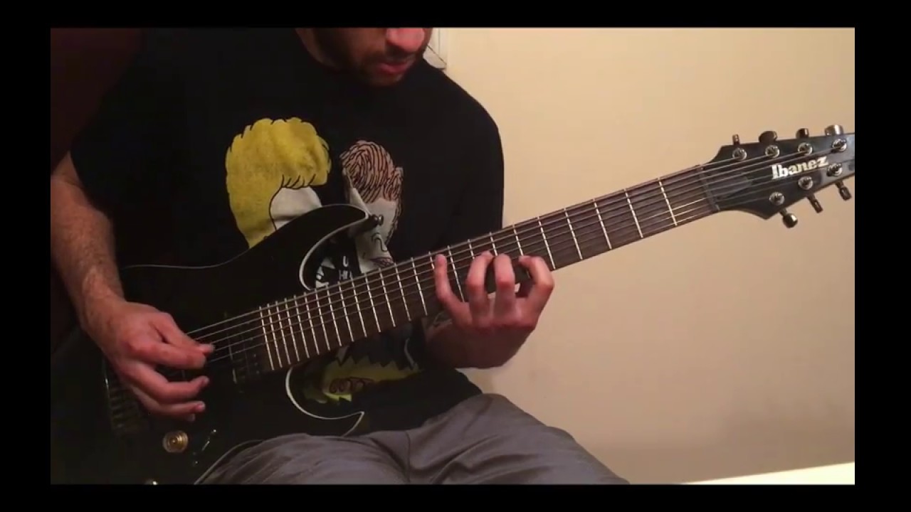 Ibanez RGIR28FE 8 String - Nazgul/Sentient Pickups