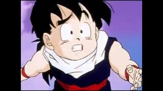 Gohan Vs Chi Chi (Full Fight)