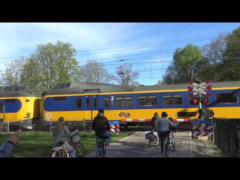 Pedestrian crossing of Apeldoorn, The Netherlands/Apeldoorn pėsčiųjų pervaža, Nyderlanduose