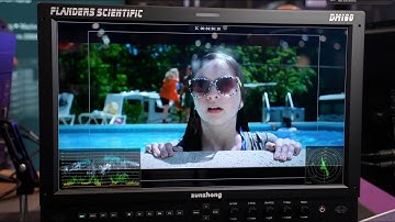 Flanders Scientific 16″ DM160 Reference Grade OLED Monitor