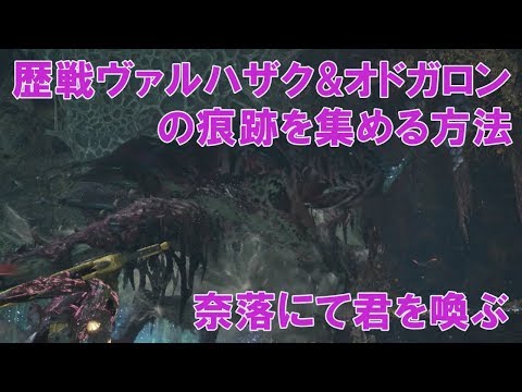 モンハンワールド 歴戦ヴァルハザクとオドガロンの痕跡を集める方法 Mhw Youtube