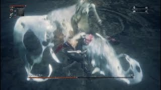 BL4 +0 Weapon No Roll - Orphan of Kos (No Buffs/Runes/Hits Taken)