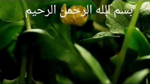 تلاوة تريح القلوب لسورة القدر بصوت الشيخ مشاري العفاسي