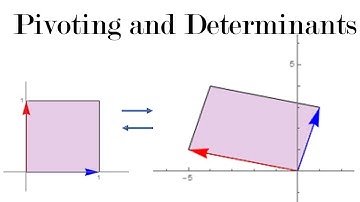 Pivoting and Determinants