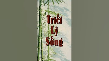 9 Câu Nói Thấm Thía Đánh Thức Tâm Hồn Thiện Lương Của Bạn 🌿#mỹtrânjourney #songdep