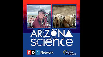 Turning to wildlife to stop the spread of wildfires