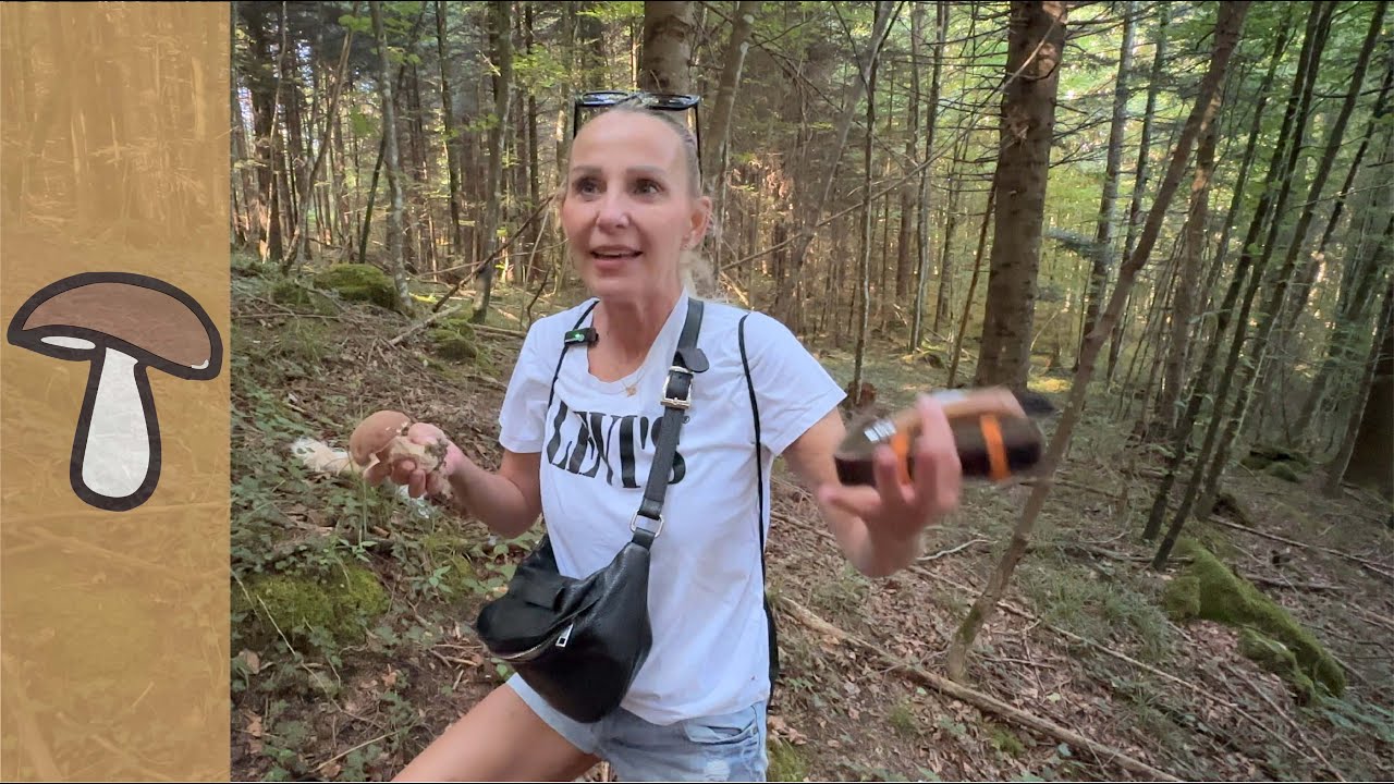 🍄Erste Pfifferlinge & Sommersteinpilze