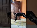 Day 3 Natural Body Transformation #workoutchallenge #motivation