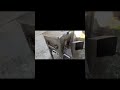 Bayou Classic Outdoor Propane Deep Fryer - 2 Baskets, Drain Valve - 4 Gal - Steel Why Cajun Cooks Sw