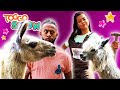 SARAH und JONAS auf dem BAUERNHOF | Backen mit WOOZLE GOOZLE | Süße LAMAS | TOGGO SHOW