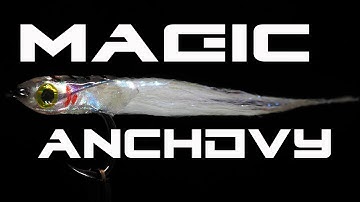 Magic Anchovy - Fly Tying with G.Zingaro