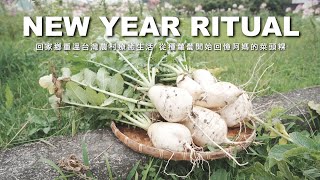 #1 Making Turnip CakeTraditional Taiwanese New Year CuisineGrowing Turnips(Daikon) in the Country
