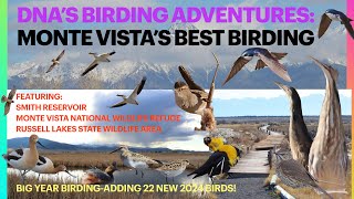 Monte Vista’s BEST BIRDING-Smith Res, Monte Vista Nat Wildlife & Russell Lakes 22 NEW Big Year BIRDS