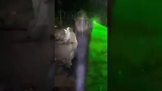 Kolejna Próba Nielegalnego Przekroczenia Granicy, Tym Razem W Miejscowości Tokary. Raport Z Granicy