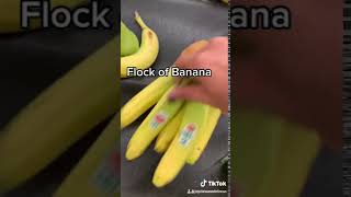 banana on the fork meme｜TikTok Search