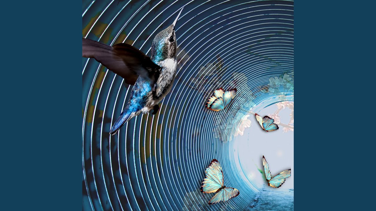 Watch Float like a Butterfly on YouTube Watch Float like a Butterfly on YouTube