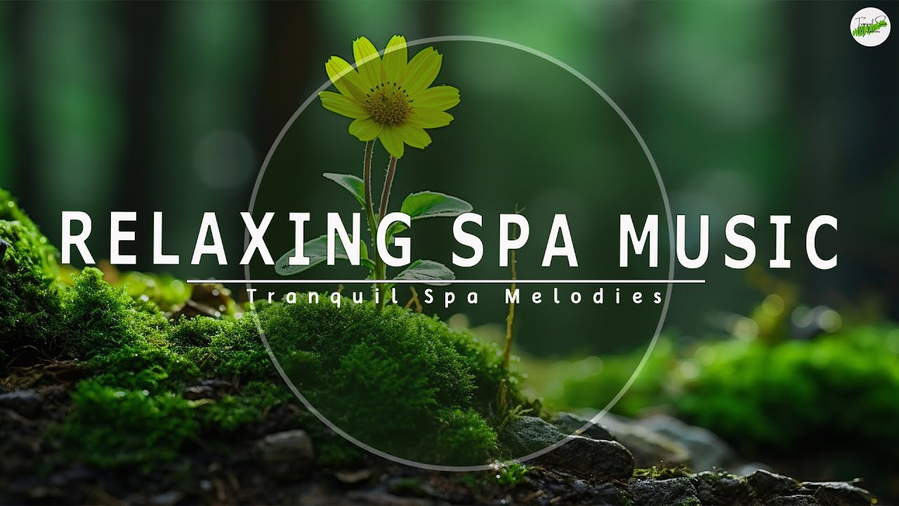 Soothing Piano for Meditation & Stress Relief – Find Your Calm Today 🌿 ...