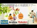 【アラ還50代】心躍るArabia Paratlisiとカルディ購入品/一人暮らしの冷蔵庫ツアー/秋の家事貯金/夫は単身赴任アラ還一人暮らしvlog/シニア犬と暮らす