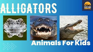 Alligators | Animals For Kids | Everything Animal
