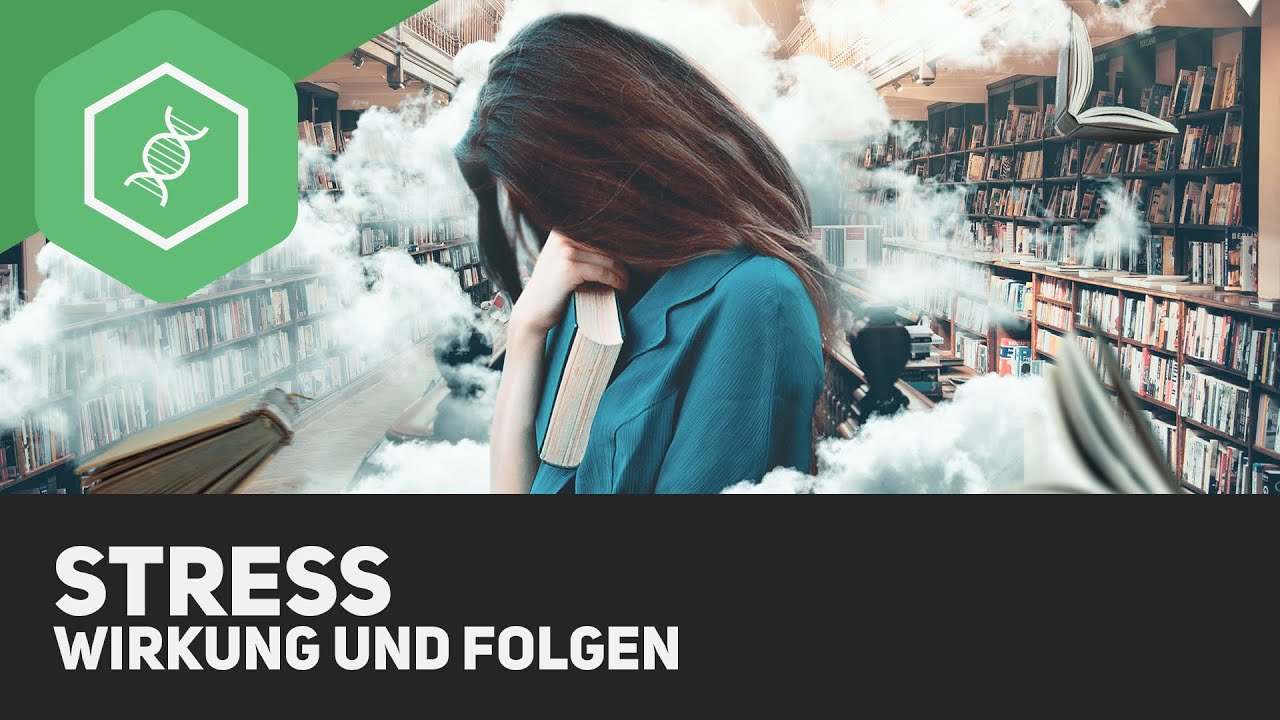 Stress als Krankheitsursache – Herz und Knochen können leiden | Doc Fischer SWR