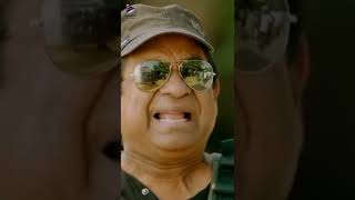 Brahmanandam Hilarious Comedy as Kill Bill Pandey | Race Gurram Movie | Allu Arjun | #YTShorts