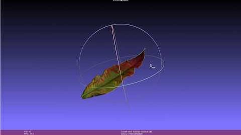 Photogrammetry: Leaf Scan