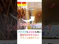 電気代がかからないクマノミ飼育ボトル！！ブクブクも濾過器もないのに１ヶ月の１回の水換えでクマノミが飼えちゃうボトルのご紹介です。ニモを避難させる隔離ホテルにも使える