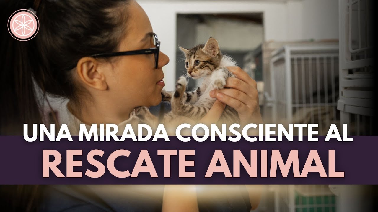 Una Mirada Consciente al Rescate Animal I Rosicler Cantos