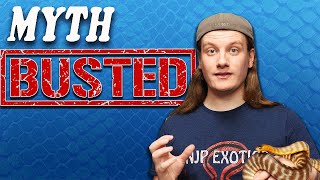 Myths About Snakes DEBUNKED!