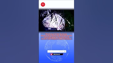 Khoảnh khắc tàu container tông sập cầu ở Mỹ, ít nhất 20 người rơi xuống sông #shorts  #drm