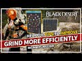 Helpful Tips to Grind More Efficiently in Black Desert Online