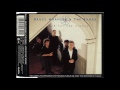 Bruce Hornsby And The Range - Look Out Any Window (Remix)