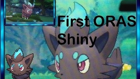 Shiny Zorua Via Dexnav After Chain Of Four First ORAS Shiny