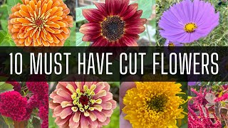 10 MUST HAVE Cut Flowers 🌷🌷🌷 || Growing Cut Flowers || Cutting Garden || Zone 8 || Flower Seeds